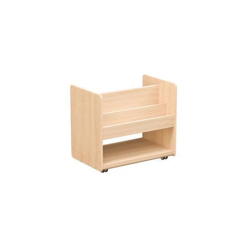 Mobile Book Browser Unit